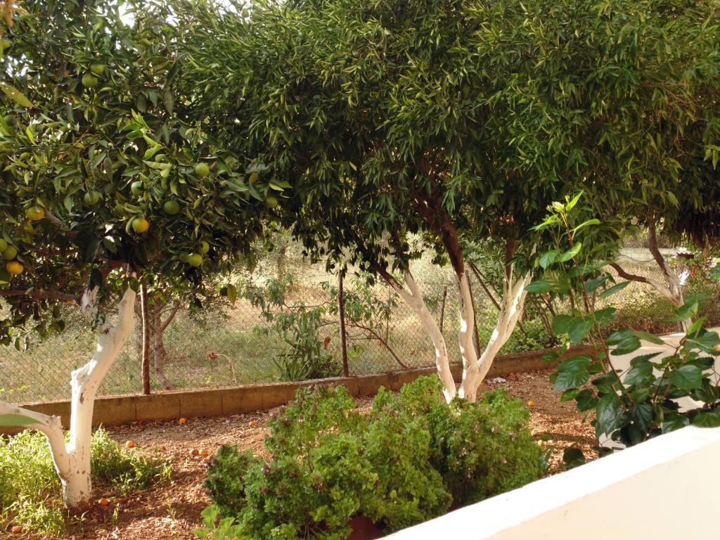 Villa Melini Patitiri  Ngoại thất bức ảnh